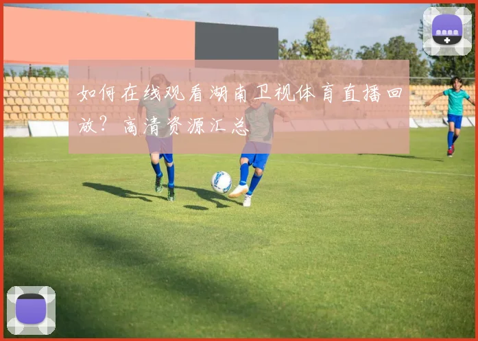 如何在线观看湖南卫视体育直播回放?高清资源汇总
