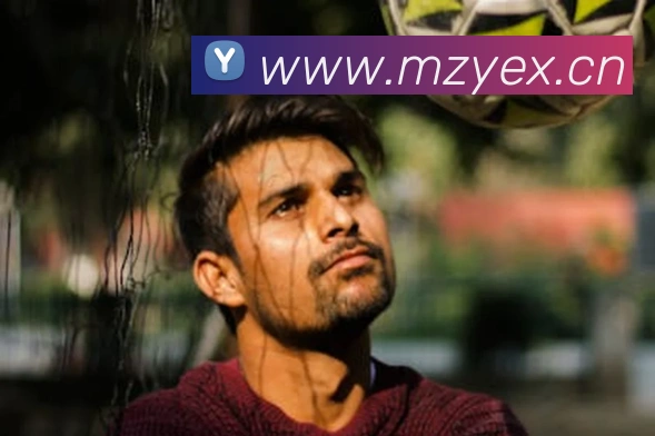 mksports体育平台生态图