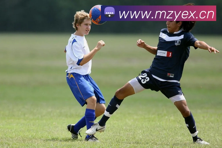 mksports体育APP 封面图